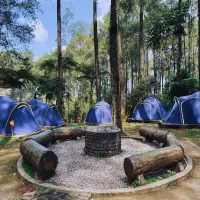 12 Tempat Healing di Lembang Terbaik 2025: Panduan Lengkap Destinasi Relaksasi Alam di Bandung Barat