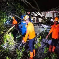 Alhamdulillah Tidak Ada Korban Jiwa, Pohon Tumbang Timpa Kendaraan di Halaman GOR Gotong Royong Subang