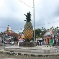 Sejarah Tugu Nanas Subang: Simbol Kejayaan Petani dan Identitas Kabupaten Subang