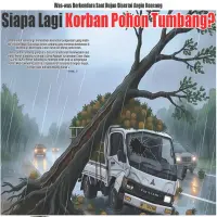 Was-was Berkendara Saat Hujan Disertai Angin Kencang, Siapa Lagi Korban Pohon Tumbang?