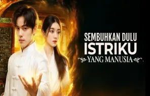 Cara Nonton Drama China Sembuhkan Dulu Istriku yang Manusia Sub Indo di Dailymotion