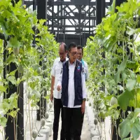Wakil Bupati Subang Dukung Strategi Kemandirian Pangan di BPRI Sukamandi