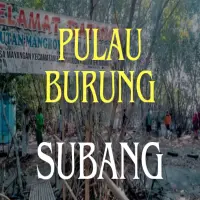 4 Keunikan Ekowisata Mangrove Pulau Burung Kabupaten Subang, Surganya Pesisir Utara Jabar!