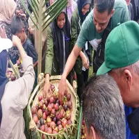Siklus Dua Tahunan, Produksi Manggis di Purwakarta Turun Drastis