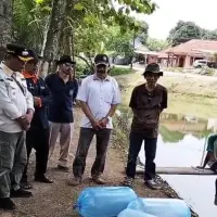 BUMDes Belendung SAHATE Tebar 100 Ribu Ekor Benih Ikan Nila Merah di Subang