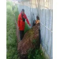 Soal Rockfall di Gunung Batu, PVMBG Bisa Disebabkan Tiga Hal