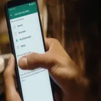 Cara Menghilangkan Status Online di WhatsApp, Mudah Kok!