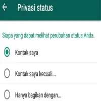 Cara Menyembunyikan Status WhatsApp dari Kontak Lain, Ternyata Gini Lho Caranya!