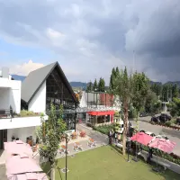 Tempat Beli Oleh-Oleh Khas Lembang: Rekomendasi Lengkap Souvenir Autentik dari Kawasan Pegunungan