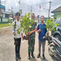 Lestarikan Lingkungan, Koramil Jalancagak Sumbang 200 Bibit Pohon Mahoni