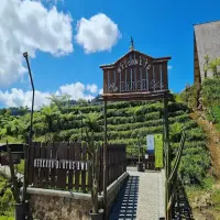 Harga Tiket Masuk The Ranch Ciater 2025, Pas Buat Libur Akhir Tahun!