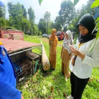 Disnakeswan Subang Tegaskan Masyarakat Dilarang Pelihara Monyet, Berisiko pada Keselamatan dan Kesehatan Keluarga