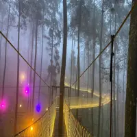Harga Tiket Masuk Orchid Forest Cikole Lembang 2025, Yuk Healing Sejenak!