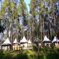 Rekomendasi Tempat Merayakan Tahun Baru di Lembang 2025 yang Wajib Dikunjungi
