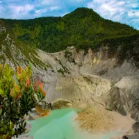4 Tempat Penginapan Dekat Tangkuban Perahu yang Nyaman, Dijamin Bikin Betah!