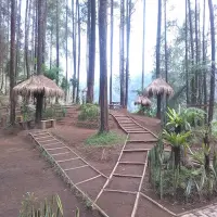 7 Rekomendasi Tempat Liburan Tahun Baru di Cikole: Destinasi Alam Sejuk untuk Rayakan Pergantian Tahun