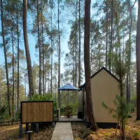 Rekomendasi Tempat Glamping di Cikole Lembang untuk Tahun Baru: Pilihan Terbaik Untuk Berlibur Bersama Keluarga dan Pasangan
