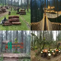 List Wisata Daerah Cikole yang Wajib Masuk Agenda: Ada Spot Foto Cakep!