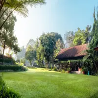 Rekomendasi Tempat Perayaan Kembang Api Tahun Baru di Lembang: Untuk Rayakan Pergantian Tahun Berasama Keluarga dan Teman