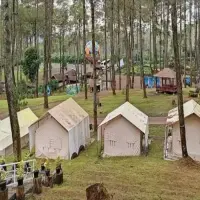 7 Rekomendasi Tempat Camping di Cikole untuk Tahun Baru: Suasana Hutan Pinus, Udara Dingin, dan Gathering Seru