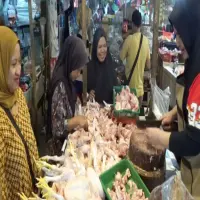 Jelang Nataru 2026, ‎Harga Ayam Potong Tembus Rp 40 Ribu Per Kg di Purwakarta