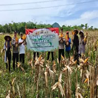 Perkuat Ketahanan Pangan, Polsek Plered di Purwakarta Panen Raya Jagung