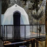 7 Rekomendasi Tempat Camping di Cikole untuk Malam Tahun Baru: yang Wajib Masuk List Kamu!