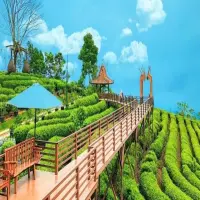 Rekomendasi Libur Panjang Tahun Baru di Subang Jawa Barat