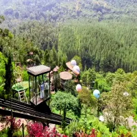 Rekomendasi Wisata Lembang yang Cocok untuk Healing: Udara Sejuk, Alam Tenang, Pikiran Kembali Segar