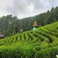 Rekomendasi Wisata Subang Rating Tertinggi, Wajib Masuk WIshlist Liburanmu!