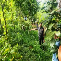 Polisi Selidiki Penyebab Kematian Pria Tanpa Identitas di Purwakarta, Ditemukan di Kebun Warga Sempur Plered