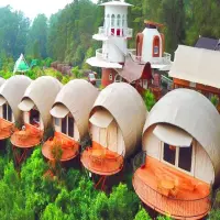 3 Rekomendasi Glamping di Subang untuk Malam Tahun Baru