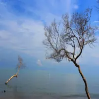 Pesona Pantai Cirewang Subang: Wisata Air yang Muncul dari Kejutan Alam