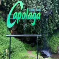Wisata Alam Capolaga yang Menawarkan Keindahan Air Terjun dan Kebun Teh