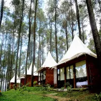 Daftar Wisata Cikole untuk Libur Natal dan Tahun Baru, Dari Hutan Pinus hingga Camping Ground