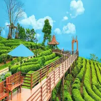 3 Tempat Wisata Subang yang Cocok untuk Rombongan