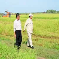 Prabowo Hadiri Panen Raya dan Umumkan Indonesia Resmi Swasembada Pangan di Karawang