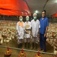 Terdampak Kondisi Cuaca Ekstrem, Disnakeswan Subang Antisipasi Kematian Unggas
