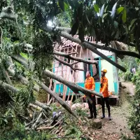 Angin Kencang Robohkan Pohon di Wanayasa, 1 Rumah dan 3 Kendaraan Tertimpa