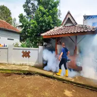 Antisipasi Penybaran DBD, Pemdes Bojong Barat di Purwakarta Berantas Sarang Nyamuk