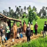 Cegah Penurunan Produksi Padi, Gerakan Pengendalian BLB Digelar di Gardusayang
