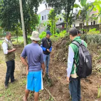 Program Upland Jalancagak Berjalan Optimal, Infrastruktur Diperkuat, Nanas Subang Jadi Andalan