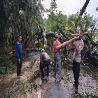 Polsek Jalancagak Evakuasi 7 Pohon Tumbang Akibat Curah Hujan Tinggi di Subang