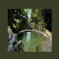 Curug Nangsi di Subang: Air Terjun Alami dengan Suasana yang Bikin Betah