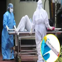 Virus Nipah Guncang India: 100 Orang Dikarantina, Kemenkes RI Keluarkan Peringatan Dini