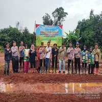 Tanam Satu Hektare Jagung Hibrida, Polsek Cikaum Dukung Program Ketahanan Pangan di Subang