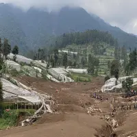 Lahan Longsor Cisarua Akan Dijadikan Hutan Bambu oleh Dedi Mulyadi
