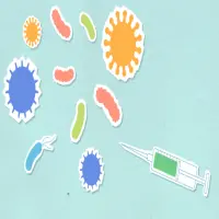 Wajib Tahu tentang Gejala Virus Nipah, Tidak Boleh Lengah!