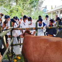 Subang Jadi Tuan Rumah Akselerasi Vaksinasi PMK Nasional 2026, Targetkan 4 Juta Dosis Vaksin Lokal