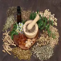 Batuk Tak Kunjung Reda? Coba Tanaman Herbal Ini